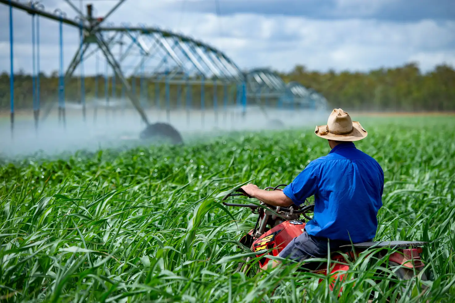 Main view of Homely rural property listing, 'Marshlands' Hivesville Windera Road, Wondai QLD 4606