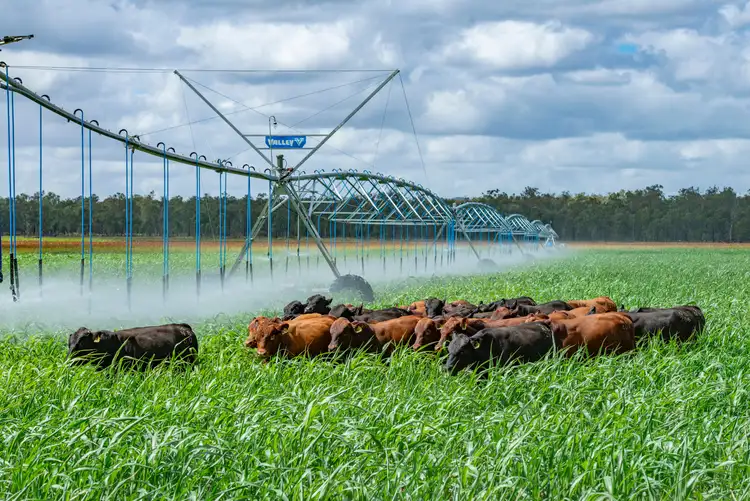 Third view of Homely rural property listing, 'Marshlands' Hivesville Windera Road, Wondai QLD 4606