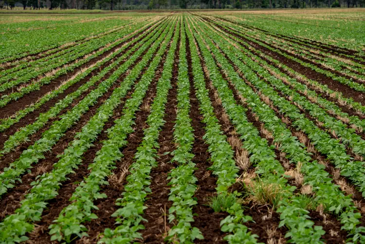 Seventh view of Homely rural property listing, 'Marshlands' Hivesville Windera Road, Wondai QLD 4606