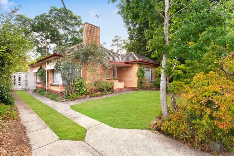 19 Ricourt Avenue, Murrumbeena VIC 3163