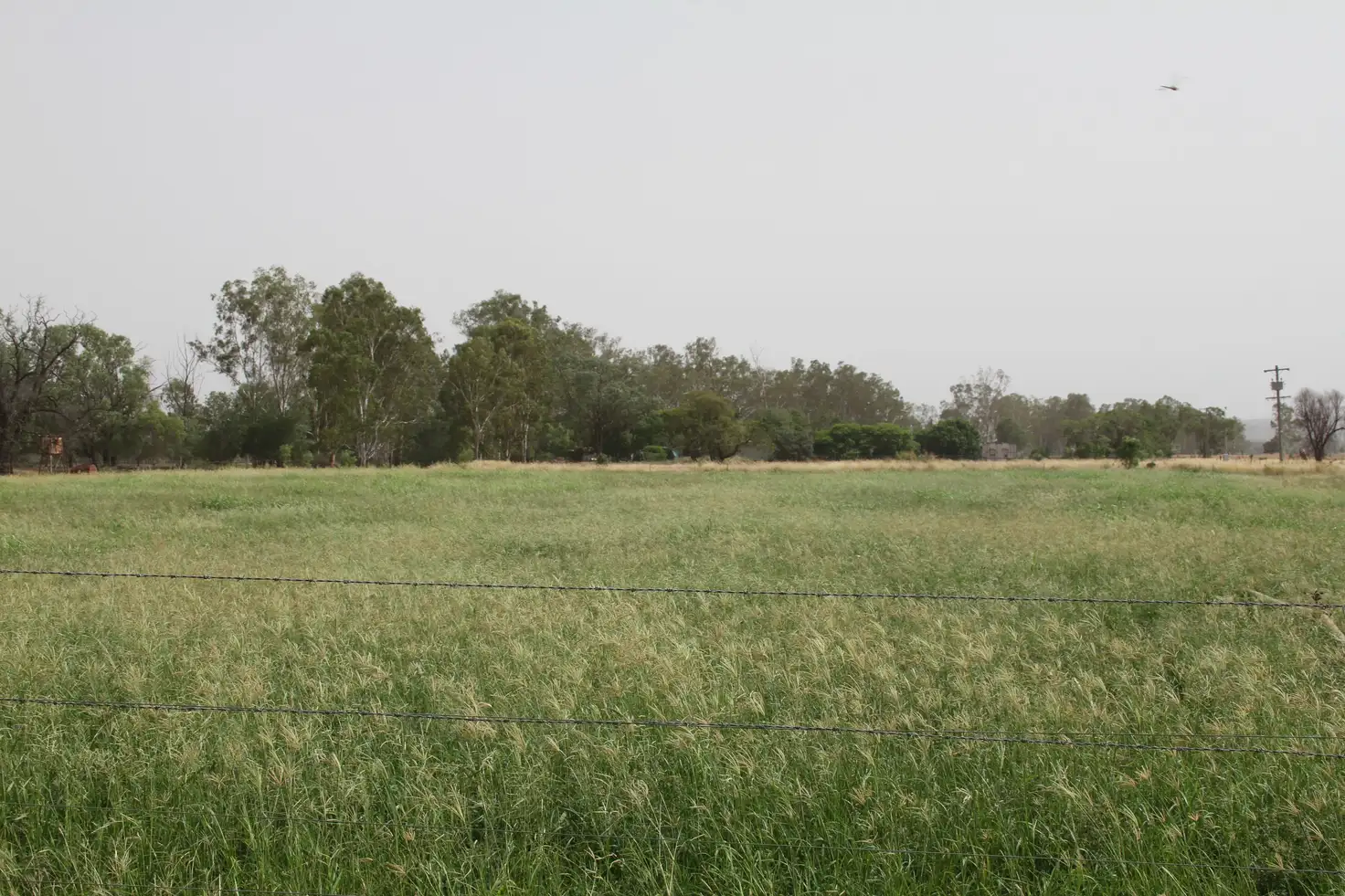 Main view of Homely rural property listing, 725 DEE RIVER Road, Dululu QLD 4702