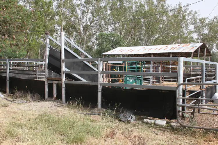 Fourth view of Homely rural property listing, 725 DEE RIVER Road, Dululu QLD 4702