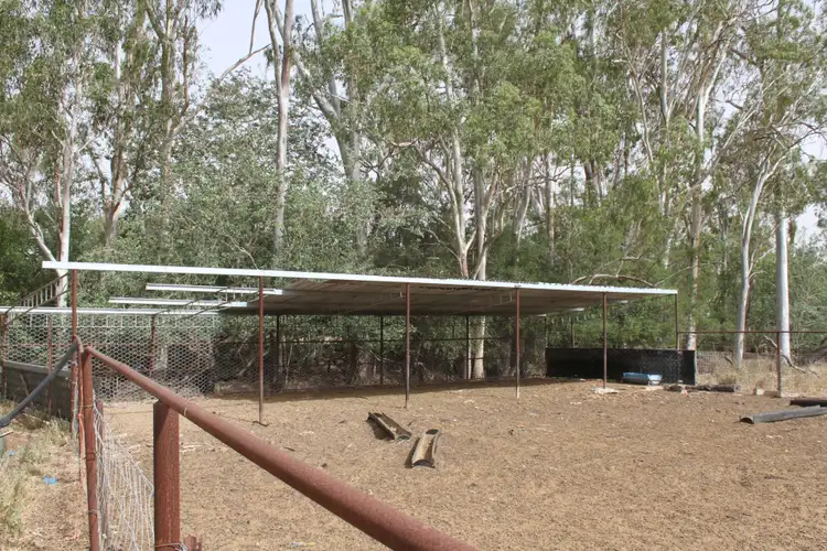 Seventh view of Homely rural property listing, 725 DEE RIVER Road, Dululu QLD 4702