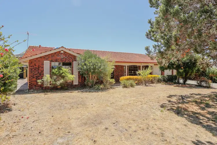 Main view of Homely house listing, 28 Cornhill Crescent, Alexander Heights WA 6064