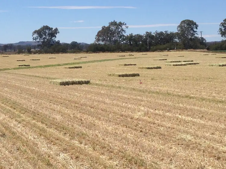 Third view of Homely rural property listing, 134 McConnel Way, Mondure, Wondai QLD 4606