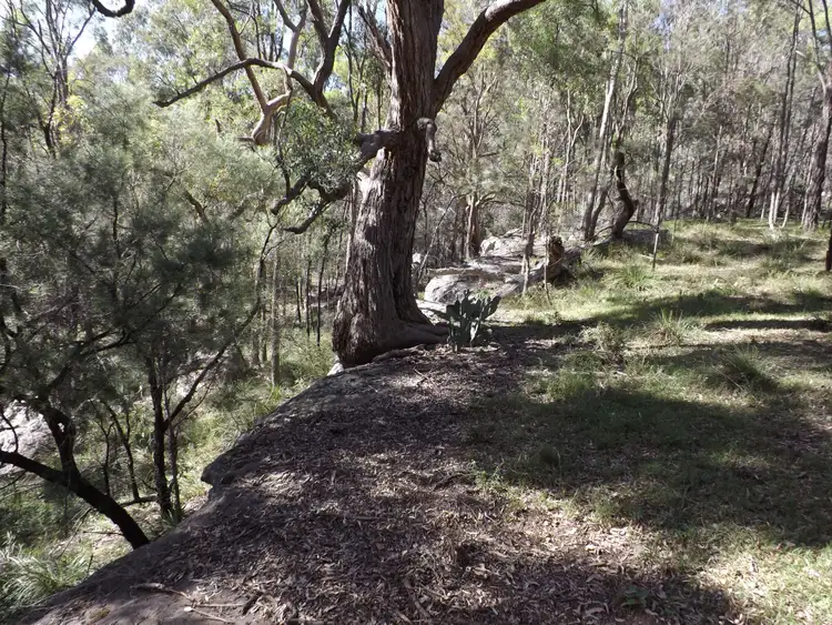 Fourth view of Homely rural property listing, 5727 Putty Road, Howes Valley NSW 2330