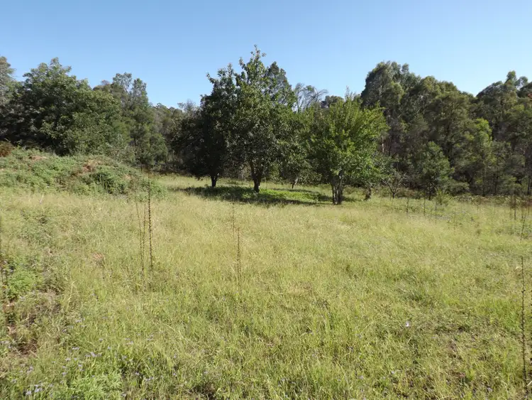 Fifth view of Homely rural property listing, 5727 Putty Road, Howes Valley NSW 2330