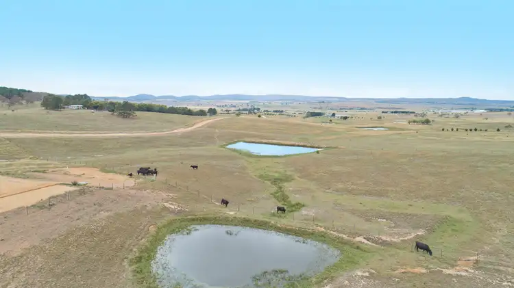 Sixth view of Homely rural property listing, 126 Corrinyah Road, Goulburn NSW 2580