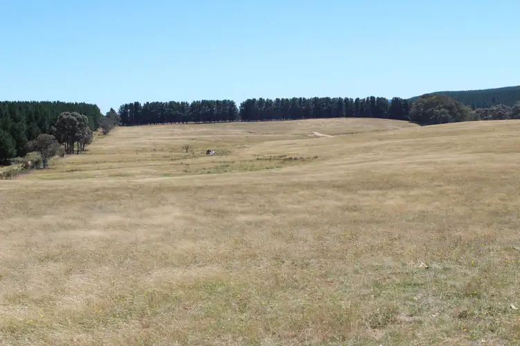 Seventh view of Homely rural property listing, 519 Jerula Road, Oberon NSW 2787