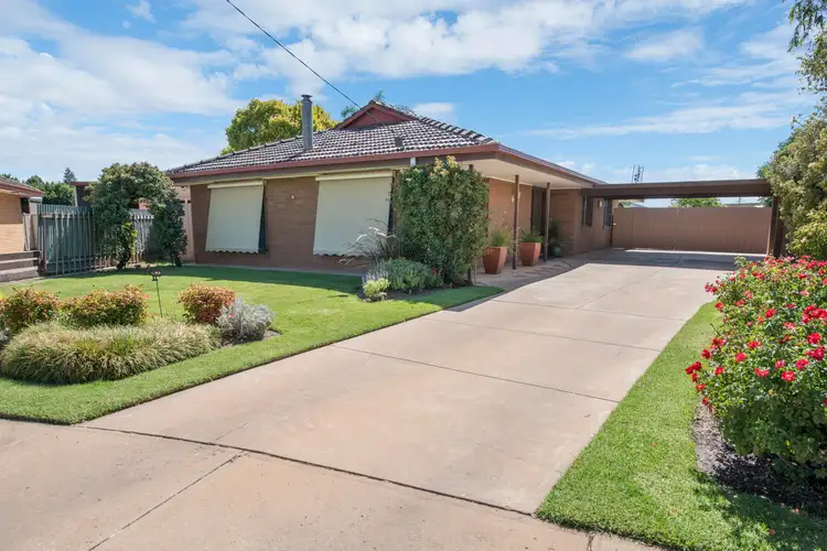 Main view of Homely house listing, 31 Mellor Grove, Swan Hill VIC 3585