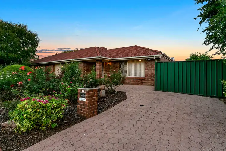 7 Rostrum Place, Modbury North SA 5092