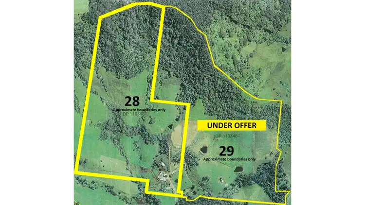 Main view of Homely rural property listing, 162 North Curramore Road, Jamberoo NSW 2533
