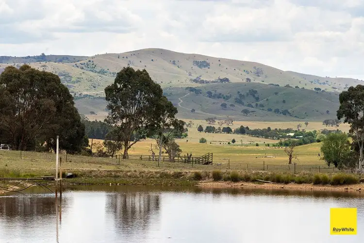 Main view of Homely house listing, 77 Sugarloaf Ridge Road, Primrose Valley NSW 2621