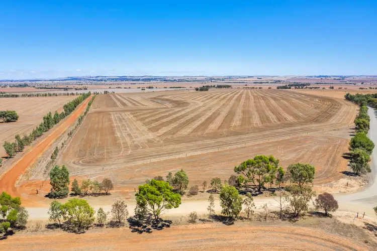 Fourth view of Homely rural property listing, "Manordale" Bradleys Road, Farrell Flat SA 5416