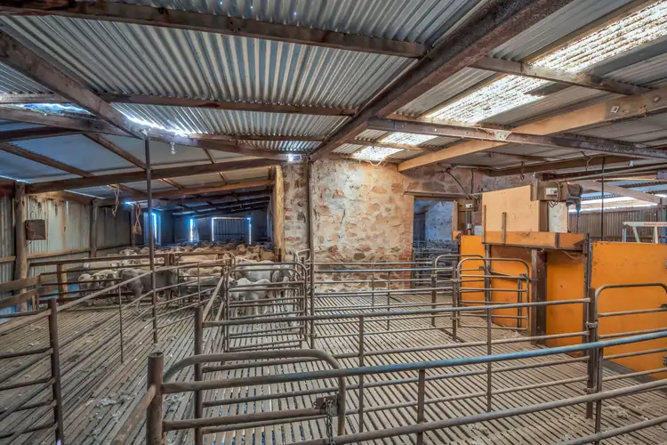 Seventh view of Homely rural property listing, "Manordale" Bradleys Road, Farrell Flat SA 5416