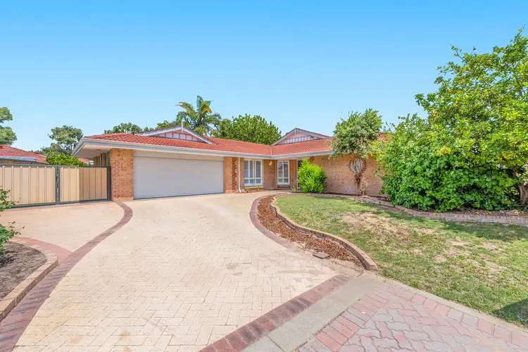 Main view of Homely house listing, 14 Rothesay Court, Cooloongup WA 6168