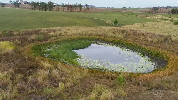 Seventh view of Homely house listing, 296 Boyland Road, Boyland QLD 4275