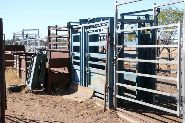 Sixth view of Homely rural property listing, 43 Fallow Lane, Mitchell QLD 4465