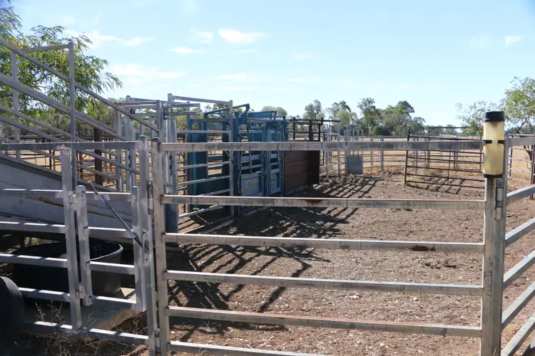 Seventh view of Homely rural property listing, 43 Fallow Lane, Mitchell QLD 4465