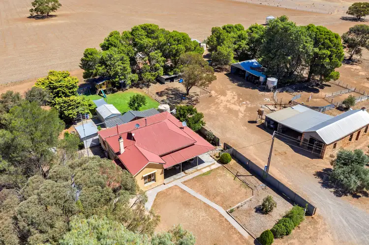 Main view of Homely rural property listing, "Clappy's" Various Sections, School Road, Booborowie SA 5417