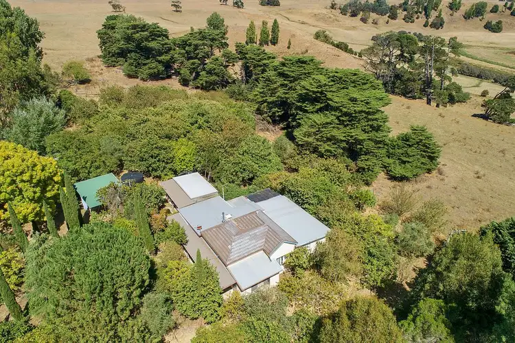 Second view of Homely rural property listing, 53 Dowlin Valley Road, Timboon VIC 3268