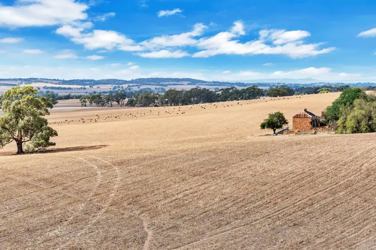 "Vingo's" Lot 57 Powerline South Road, Marrabel SA 5413