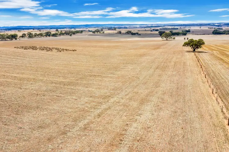 Second view of Homely rural property listing, "Vingo's" Lot 57 Powerline South Road, Marrabel SA 5413
