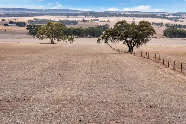 Fourth view of Homely rural property listing, "Vingo's" Lot 57 Powerline South Road, Marrabel SA 5413