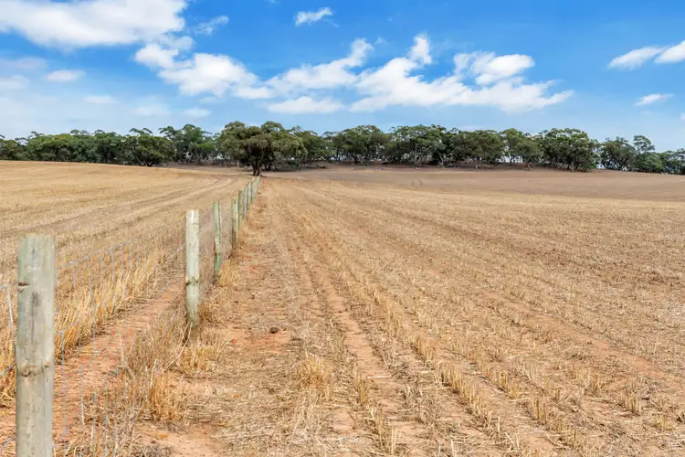 Fifth view of Homely rural property listing, "Vingo's" Lot 57 Powerline South Road, Marrabel SA 5413