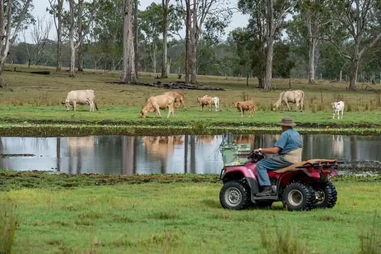 Main view of Homely rural property listing, 134 Morrison Road, Neurum QLD 4514