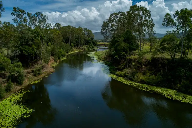 Sixth view of Homely rural property listing, 134 Morrison Road, Neurum QLD 4514