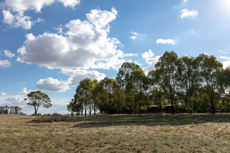 Lot 5 - 65 Eucalyptus Close, Forest Reefs NSW 2798