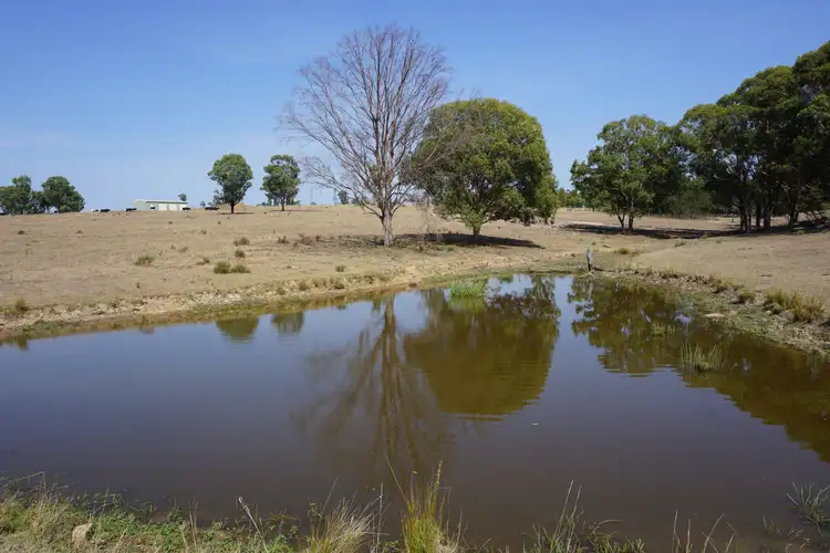 Main view of Homely rural property listing, Lot 13 Mitchells Flat Road, Singleton NSW 2330