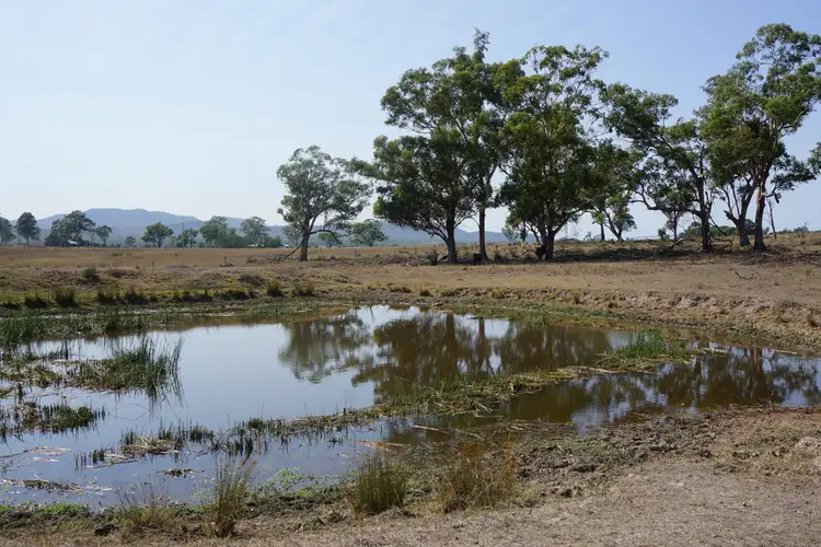 Third view of Homely rural property listing, Lot 13 Mitchells Flat Road, Singleton NSW 2330