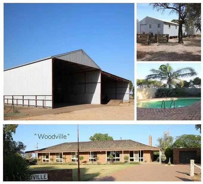 Main view of Homely rural property listing, 101 Jeffcott South School Bus Route Road, Donald VIC 3480