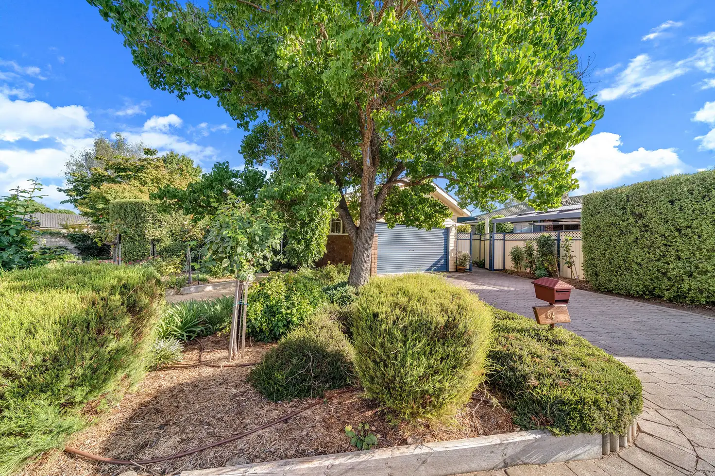 Main view of Homely house listing, 64 Greenough Circuit, Kaleen ACT 2617