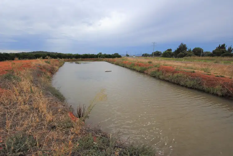 Third view of Homely rural property listing, Farm 635 Rankins Springs Road, Beelbangera NSW 2680