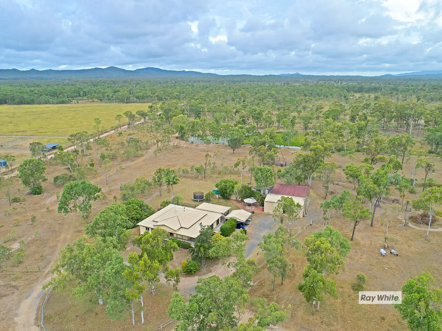 Main view of Homely rural property listing, 1560 Yeppoon Road, Mulara QLD 4703
