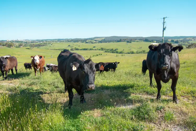 Third view of Homely rural property listing, Part 2070 Edith Road, Oberon NSW 2787