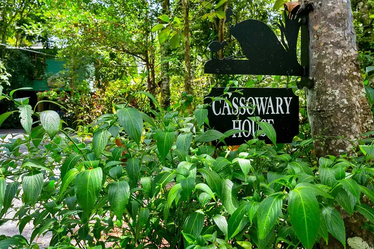 Third view of Homely house listing, Lot 1 Black Mountain Road, Kuranda QLD 4881