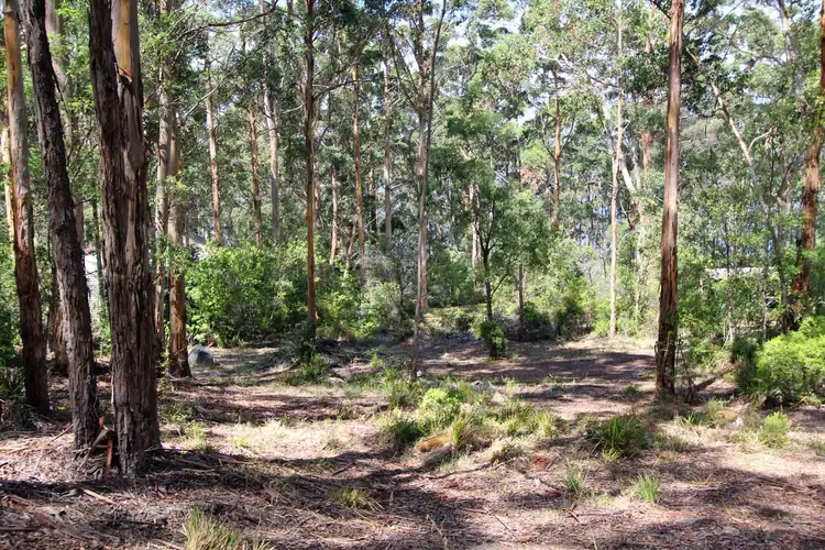 Third view of Homely land listing, 9 Adams Road, Denmark WA 6333
