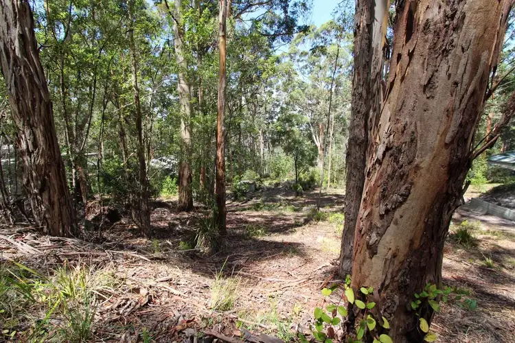 Fifth view of Homely land listing, 9 Adams Road, Denmark WA 6333