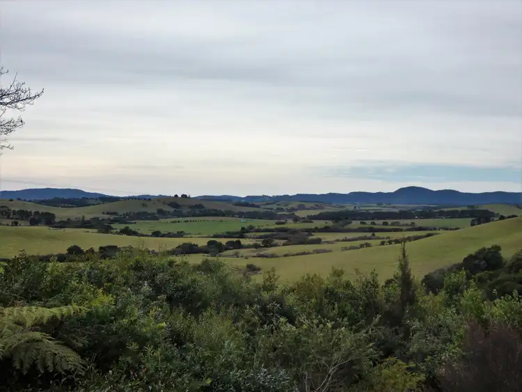 Fourth view of Homely rural property listing, 618 Maynards Plains Road, Dorrigo NSW 2453