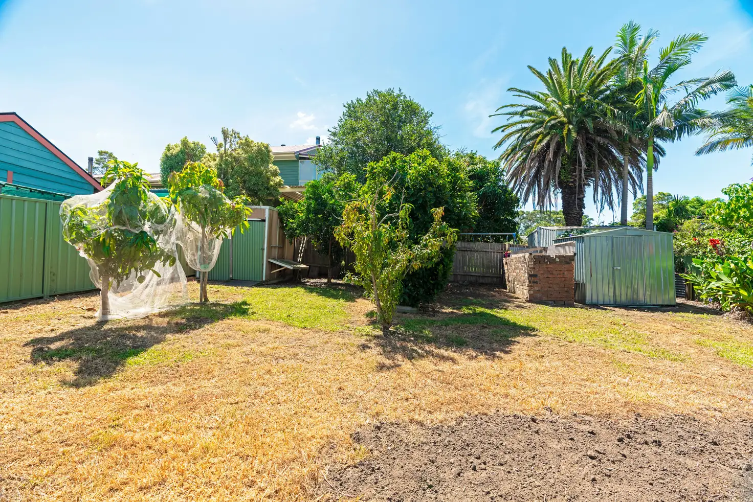 Main view of Homely house listing, 81 Bunberra Street, Bomaderry NSW 2541