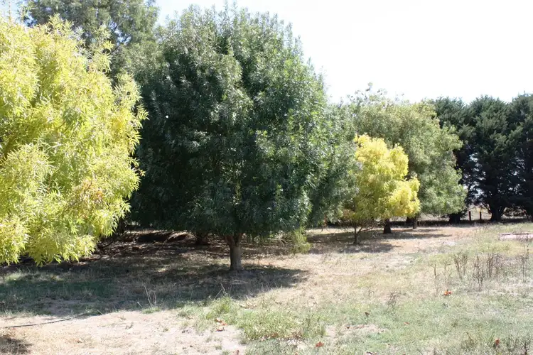 Third view of Homely rural property listing, 701 Castle Carey, Boorcan VIC 3265