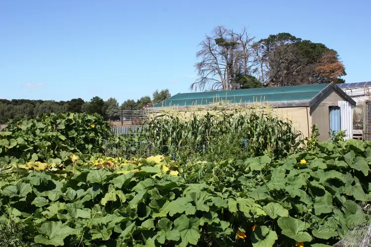 Fourth view of Homely rural property listing, 701 Castle Carey, Boorcan VIC 3265