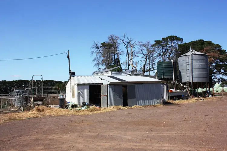 Sixth view of Homely rural property listing, 701 Castle Carey, Boorcan VIC 3265