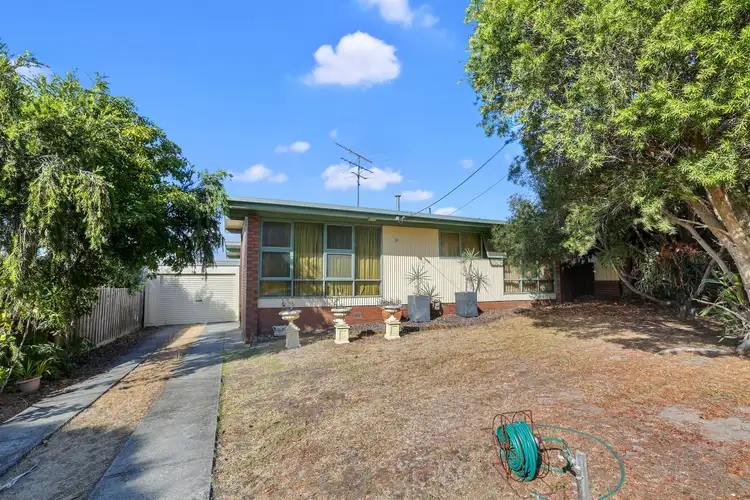 24 Cheryl Crescent, Belmont VIC 3216