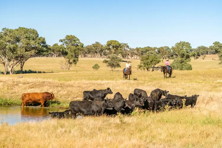 Seventh view of Homely rural property listing, Address available on request