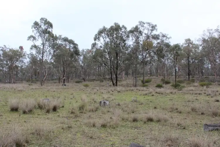 Sixth view of Homely rural property listing, 18325 Cunningham Highway, Karara QLD 4352